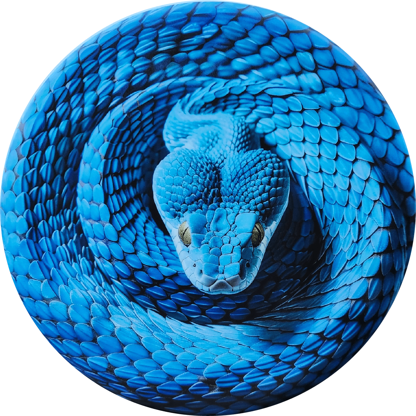 Custom Blue Snake Illusion Disc